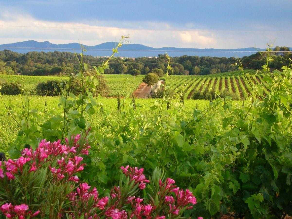 Chateau Maravenne * La Londe-les-Maures